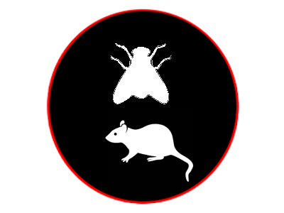 BSC Management Group | Flying Insects And Rodents