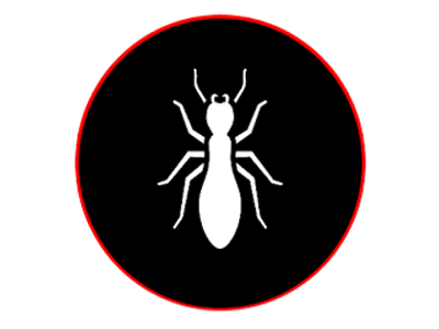 BSC Management Group | Termite Inspection & Treatment